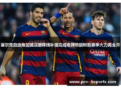 塞尔克自由身加盟汉堡锋线补强完成老牌劲旅盼新赛季火力再全开